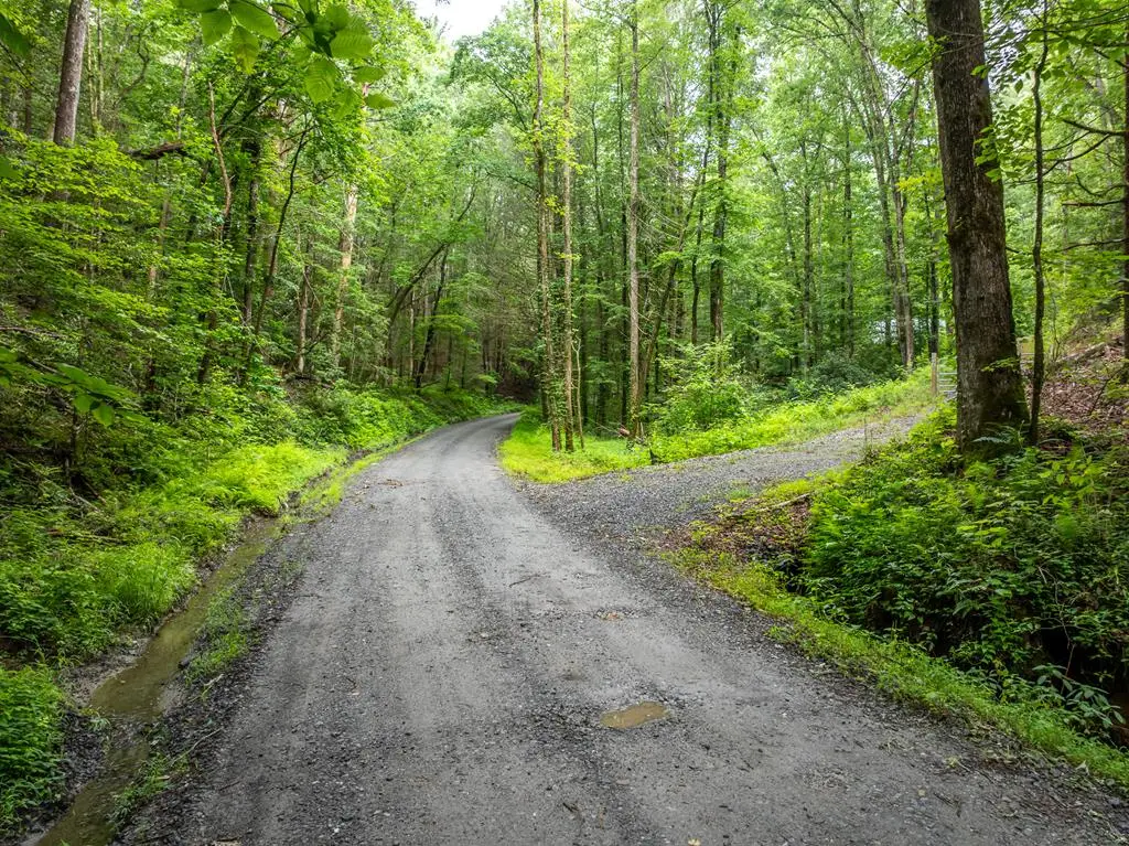 5846 Gates Chapel Road, Ellijay, GA 30540 - #1