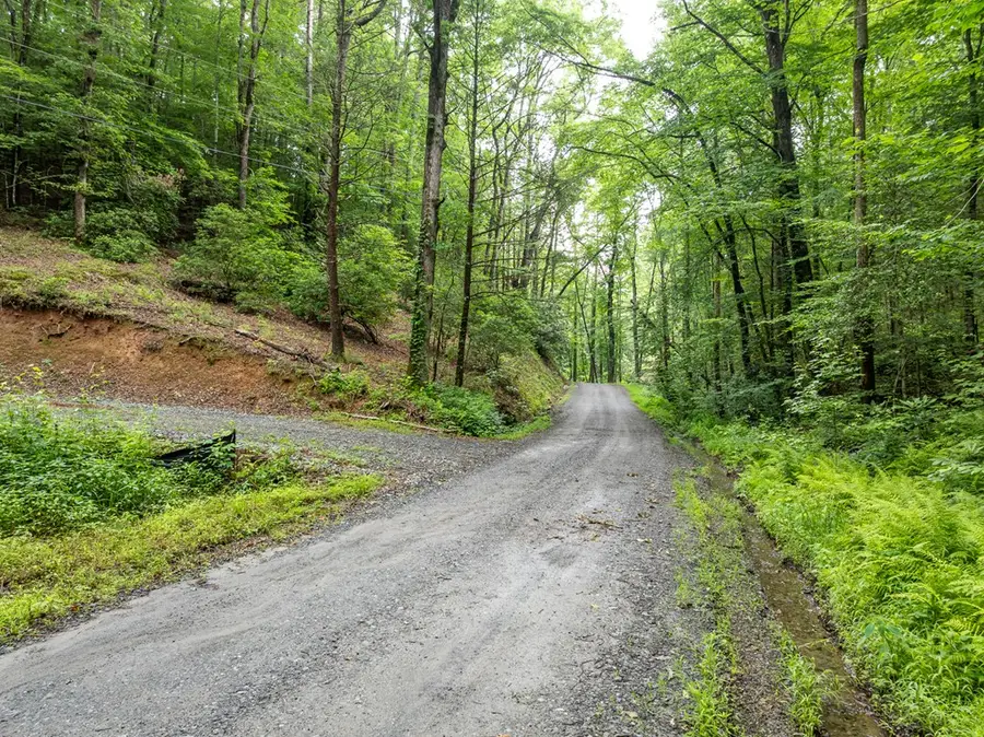 5846 Gates Chapel Road, Ellijay, GA 30540 - #2