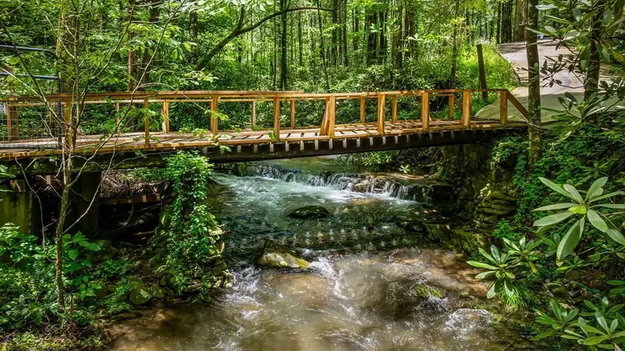 10323 Grassy Mountain Road, Ellijay, GA 30540 - #2