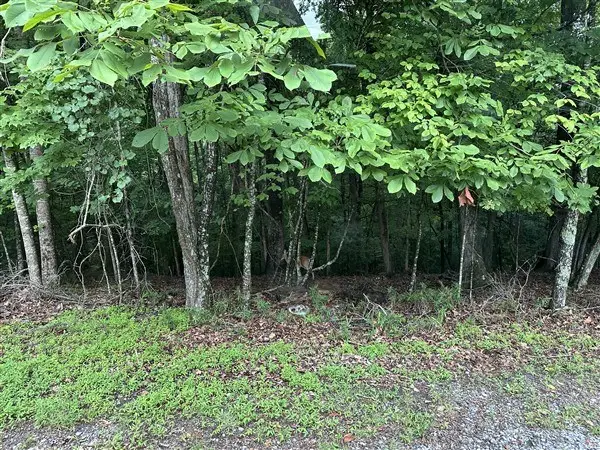 LT #222 Mohawk Trail, Ellijay, GA 30540 - Image #2