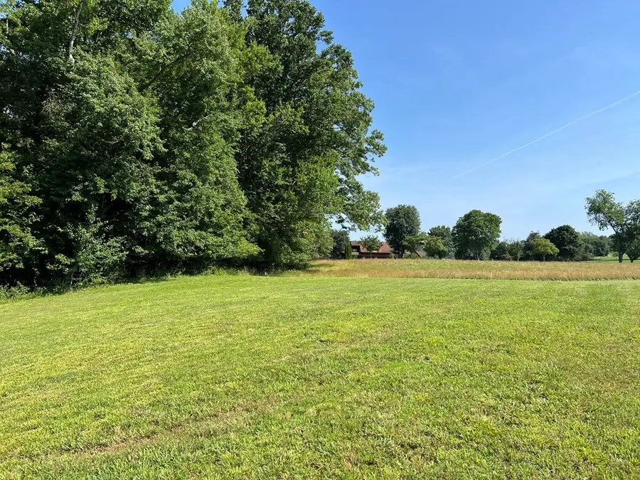 Lot 8 Old Birch Bend, Blairsville, GA 30512 - Image #3