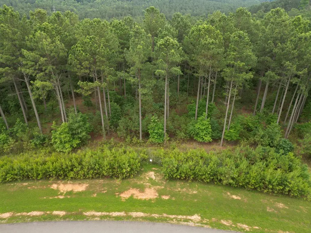 Lot 148 Stables Loop, Blairsville, GA 30512 - Image #1