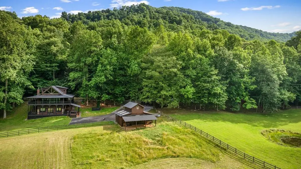 225 Cohutta Ranch Road, Blue Ridge, GA 30513 - #1