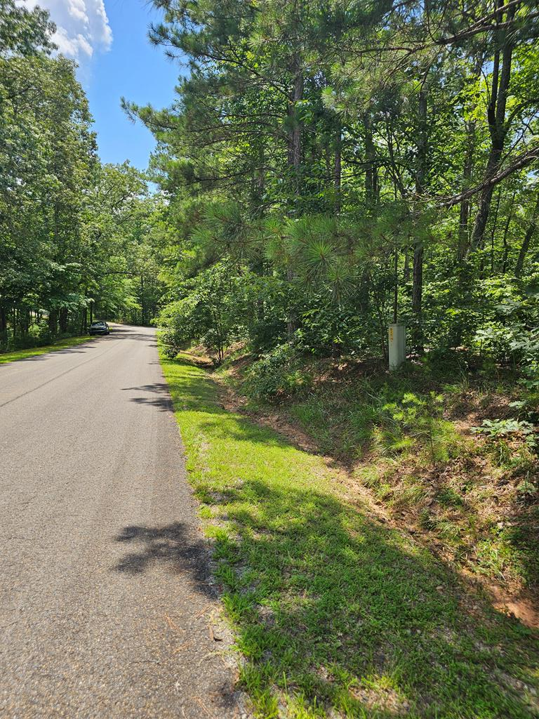 0 Harris Ridge Drive, Ellijay, GA 30540 - Image #1