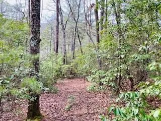5.922 Ac Fisher Field Road, Blairsville, GA 30512