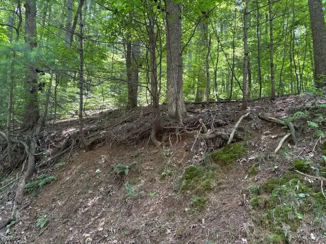 0 Mountain View Court, Ellijay, GA 30536 - Image #2