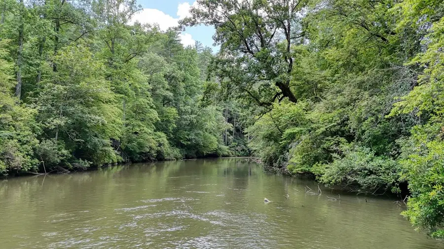 243 Chattahoochee Acres, Cleveland, GA 30528 - Image #3