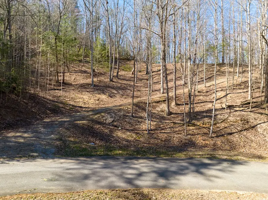 LOT 508 Chicasaw Drive, Ellijay, GA 30540 - Image #3