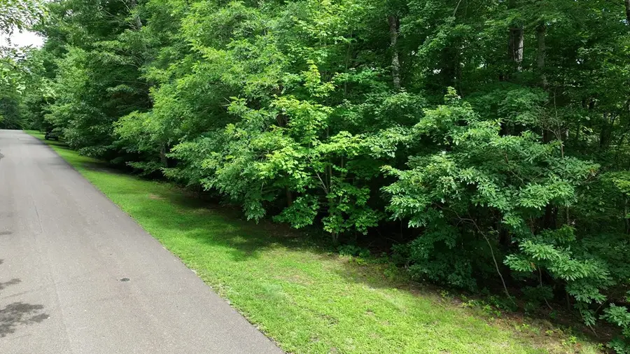 206 Northview Parkway, Ellijay, GA 30536 - Image #2