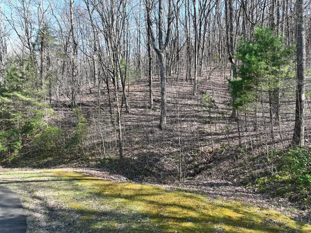 66 St Andrews Way, Ellijay, GA 30536 - #1