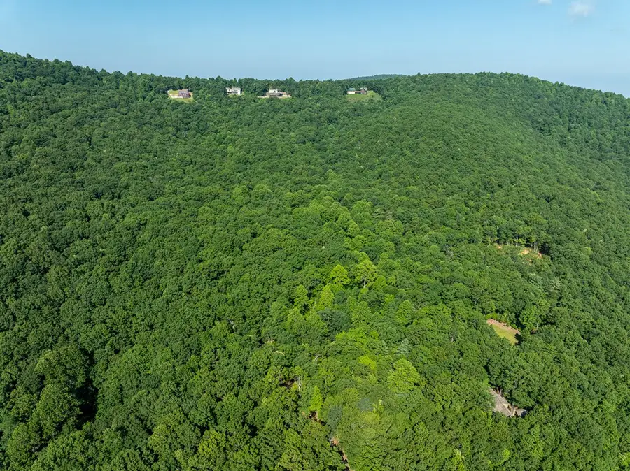 1298 Cold Stream Trail, Jasper, GA 30143 - Image #3