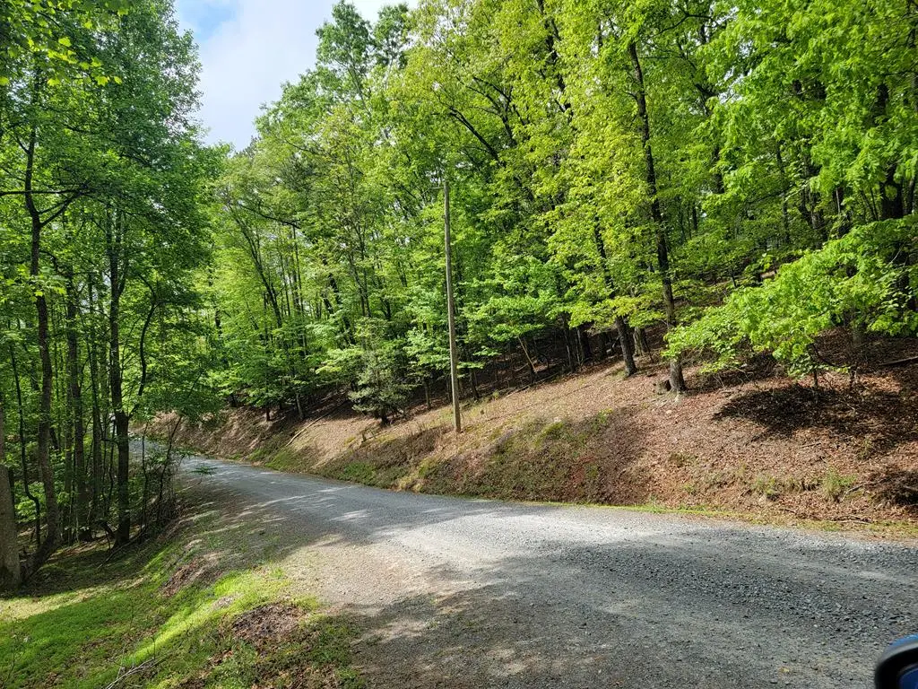 Lt 563 Nexus Drive, Ellijay, GA 30540 - Image #1