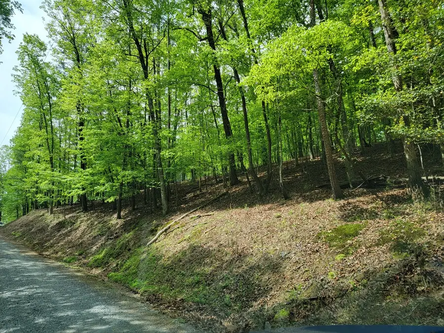 Lt 563 Nexus Drive, Ellijay, GA 30540 - Image #3