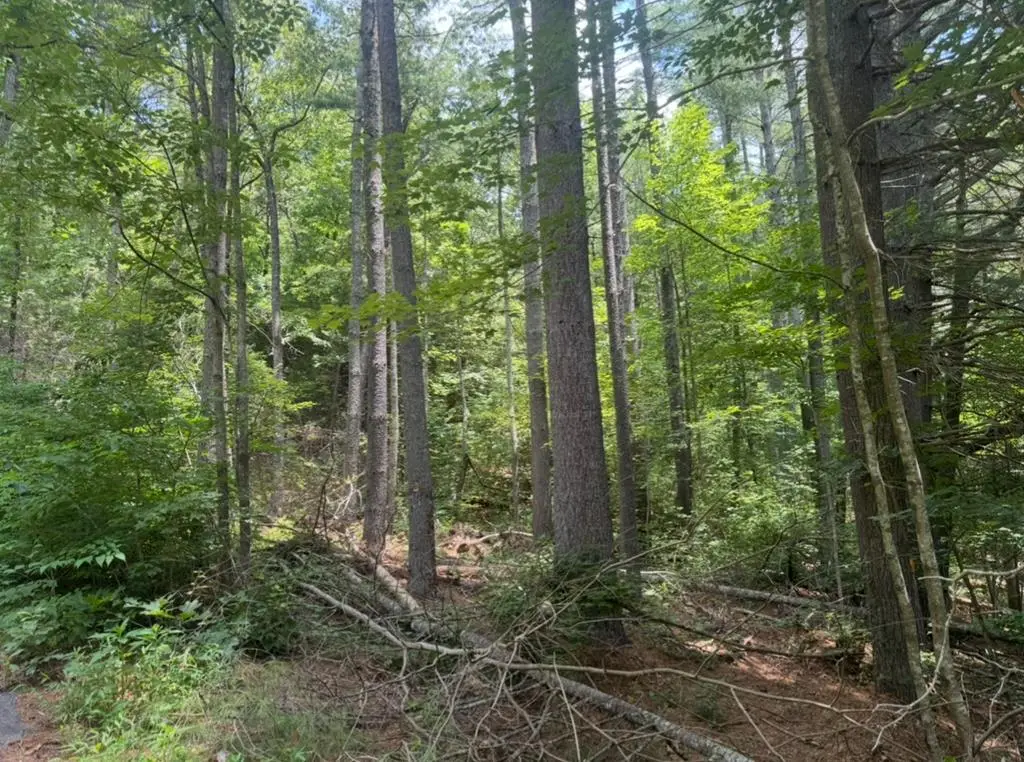 Lot 6 Baker Lane, Hiawassee, GA 30546 - Image #1