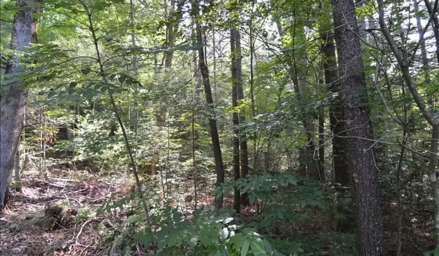 Lot 6 Baker Lane, Hiawassee, GA 30546 - Image #2