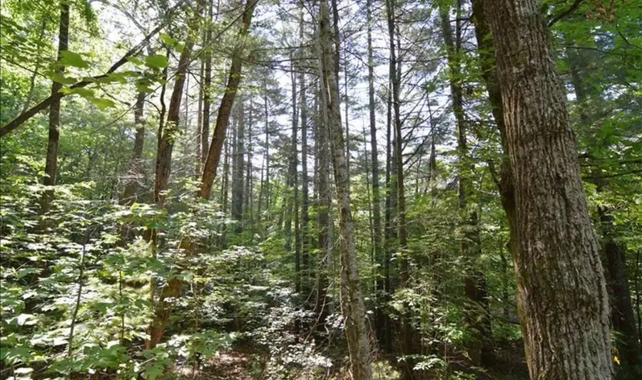 Lot 6 Baker Lane, Hiawassee, GA 30546 - Image #3