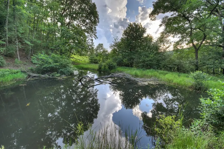 160 Mountain Field Drive, Suches, GA 30572 - Image #2