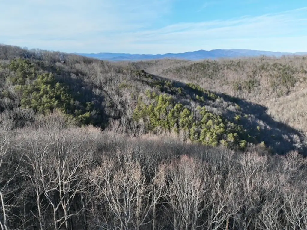 249 Andes Ridge, Ellijay, GA 30536 - #1