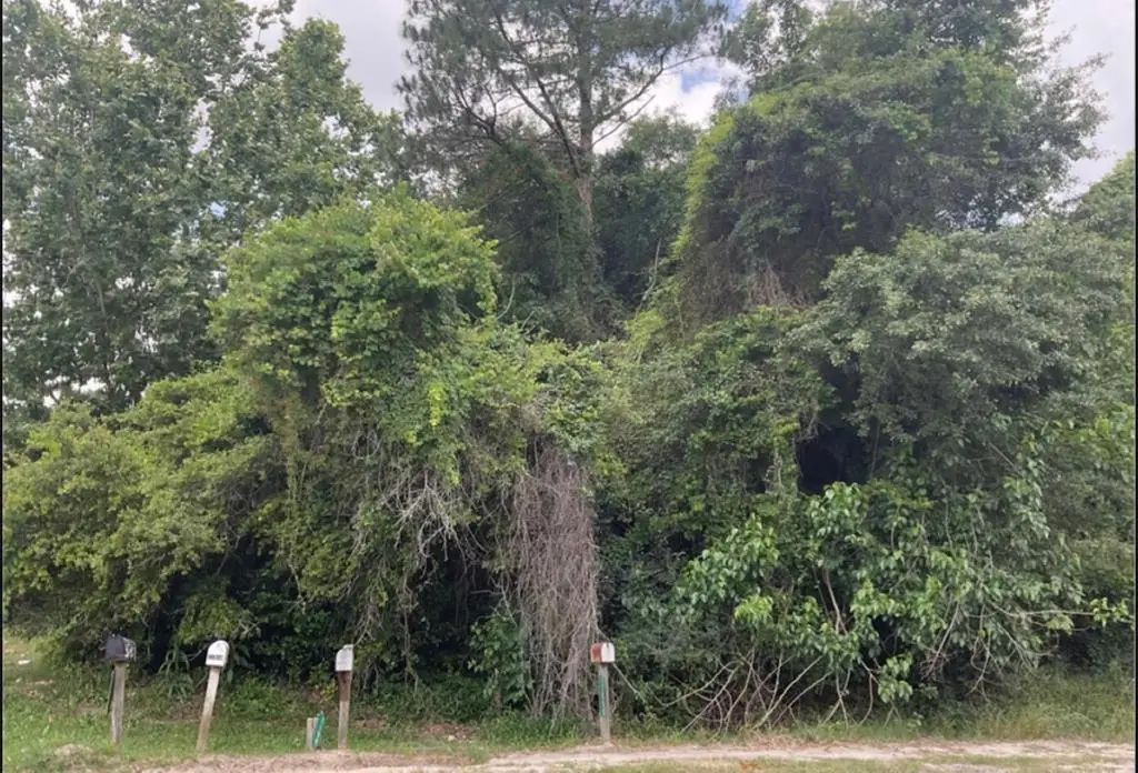 000 Hwy 129, Claxton, GA 30147 - Image #1