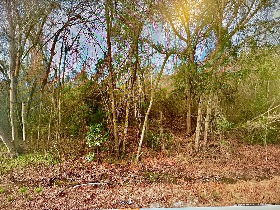 000 Hwy 129, Claxton, GA 30147 - Image #2