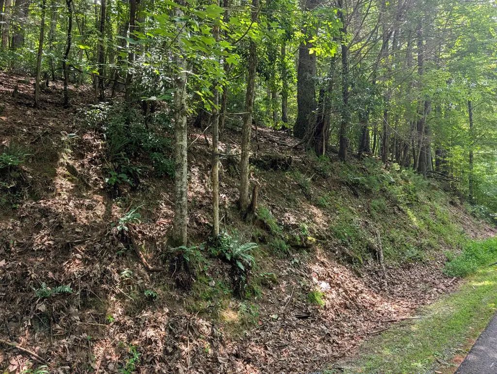 Lot P1 Goldmine Drive, Ellijay, GA 30536 - Image #1