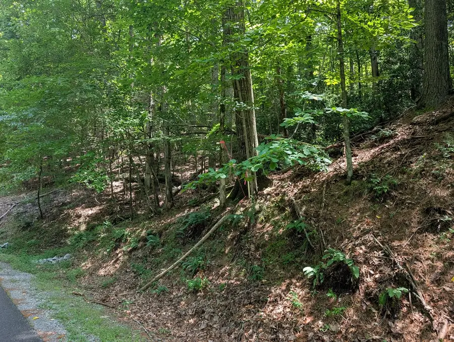 Lot P1 Goldmine Drive, Ellijay, GA 30536 - Image #2
