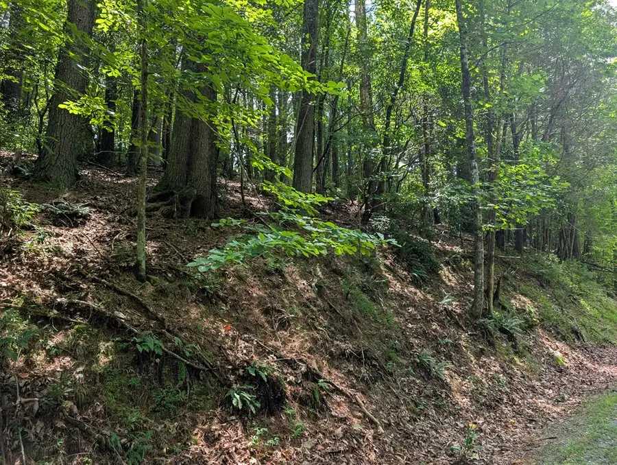 Lot P1 Goldmine Drive, Ellijay, GA 30536 - Image #3