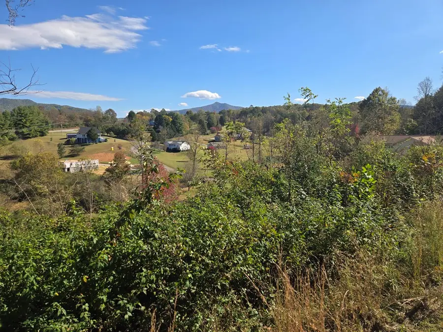 14,15,16 Ashley Drive, Young Harris, GA 30582 - Image #3