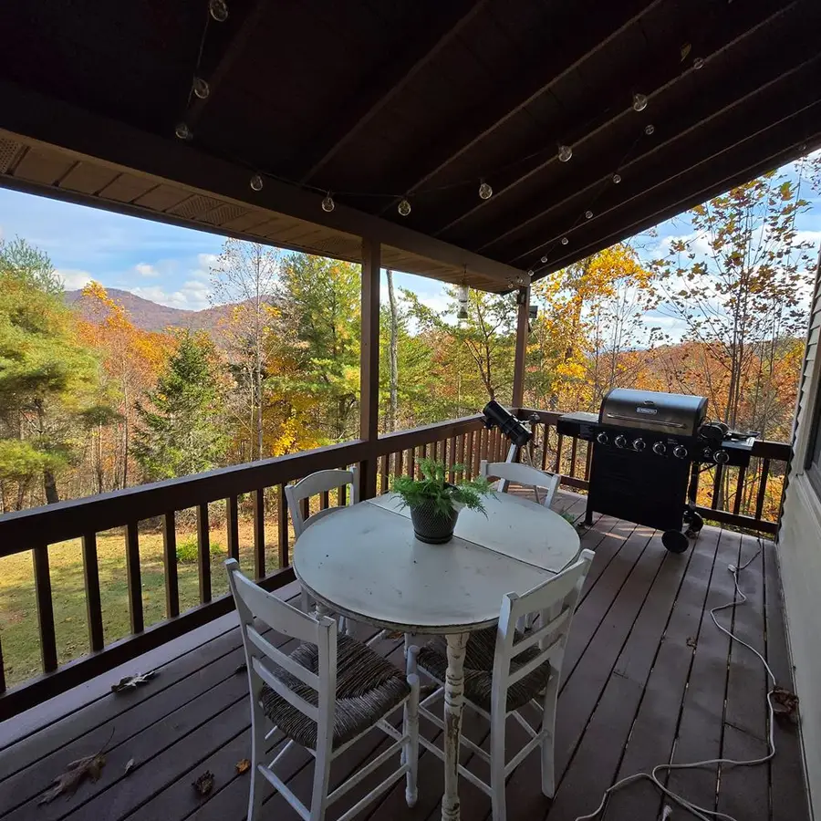 705 Hickory Drive, Mineral Bluff, GA 30559 - Image #3