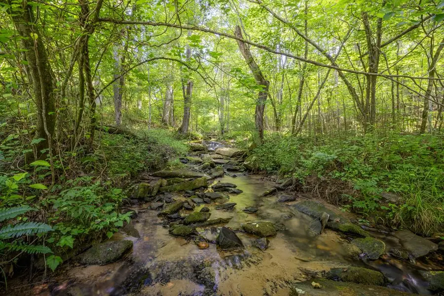 60 Buckeye Branch Road, Morganton, GA 30560 - Image #3