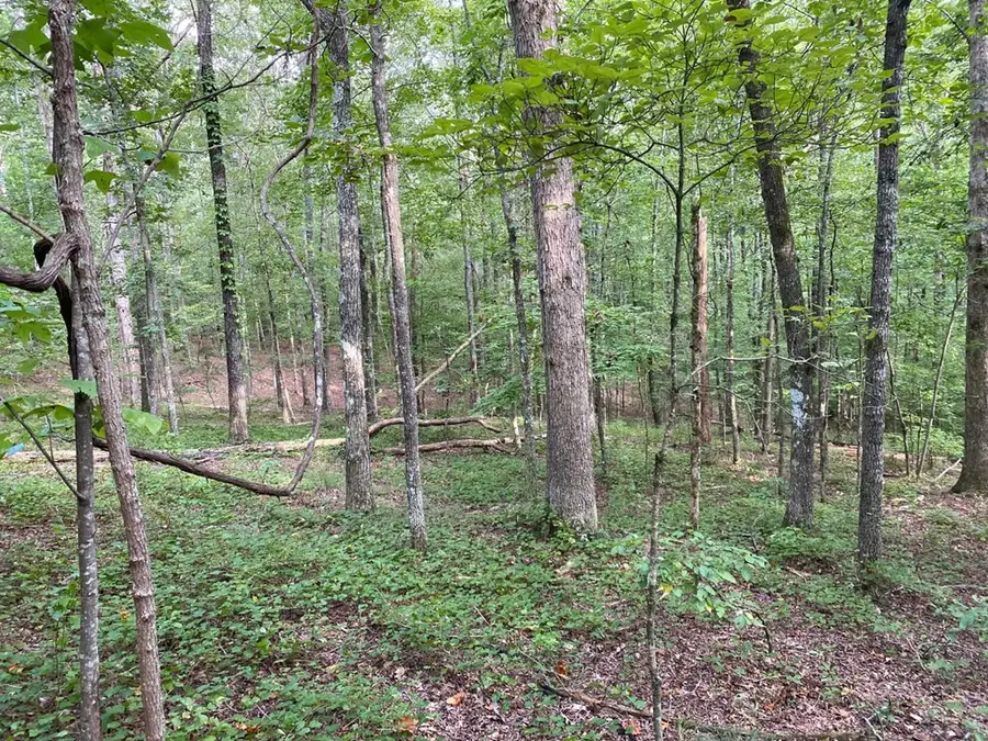 Lot 36 Hampton Farms Trail, Jasper, GA 30143 - Image #3