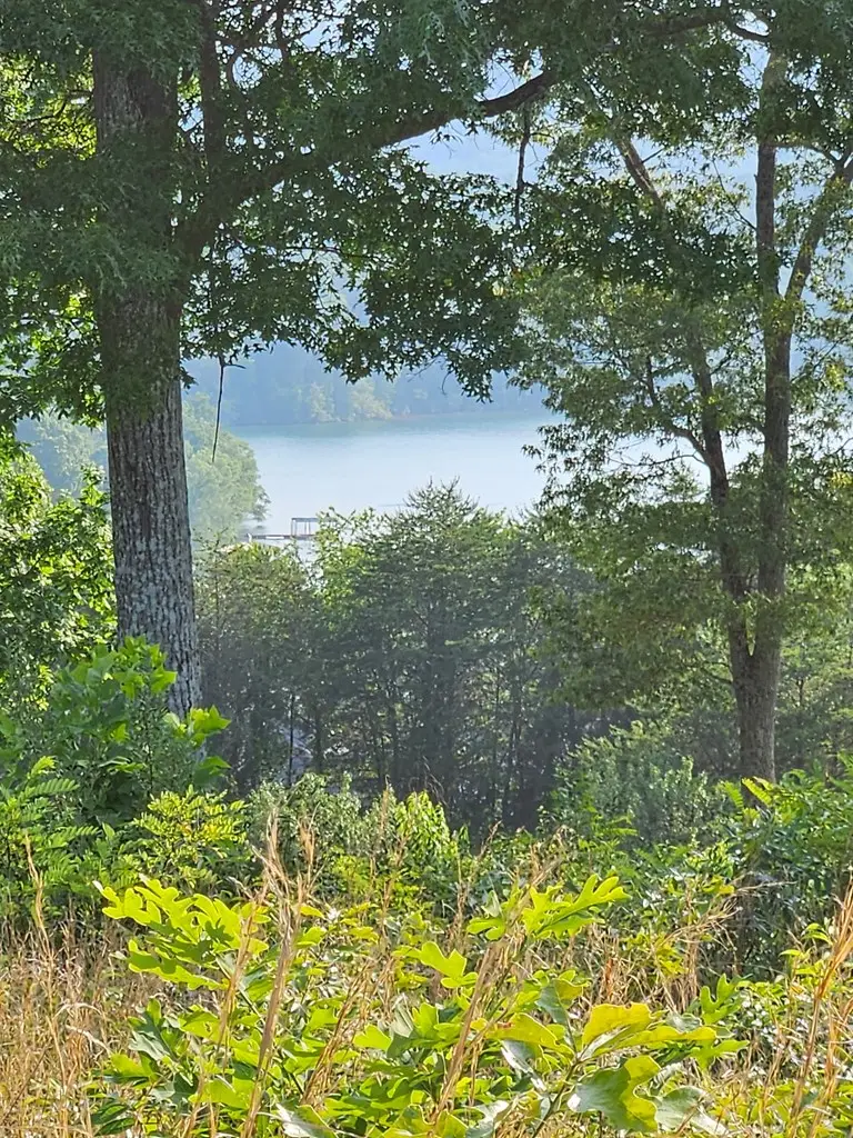 0 Big Sky Drive, Hiawassee, GA 30546 - Image #3