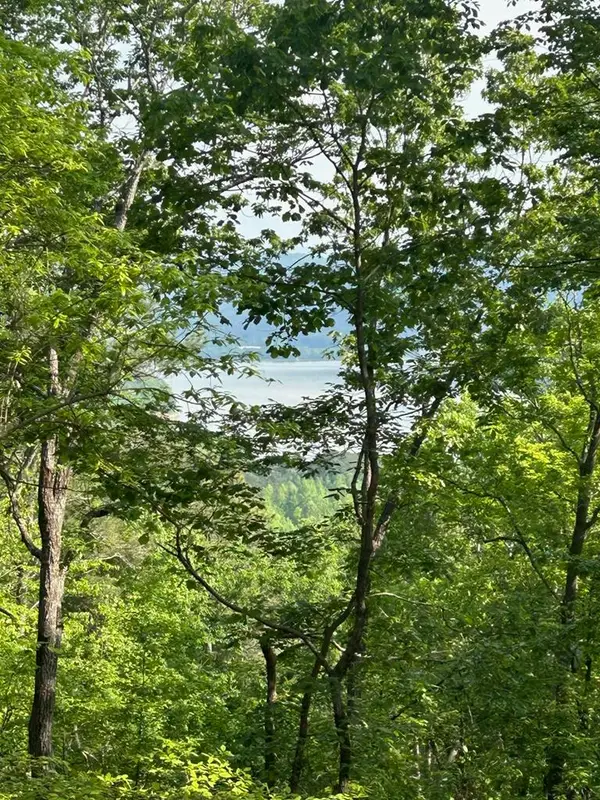 324 Adair Drive, Ranger, GA 30734