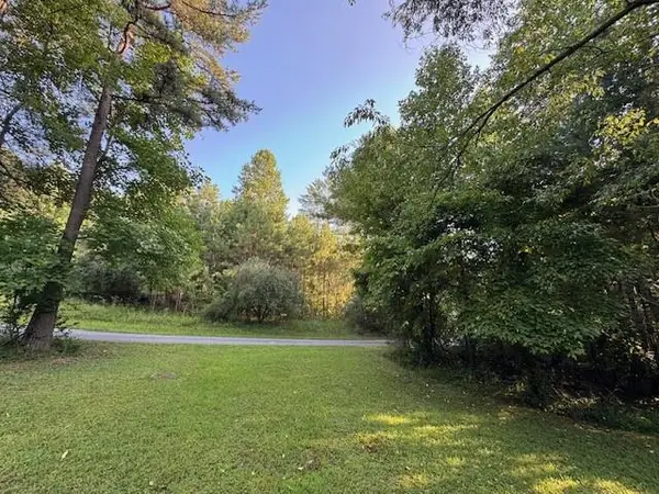 1.18 Newberry Drive, Mineral Bluff, GA 30559