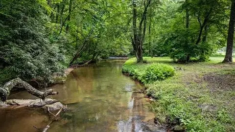 LT 1 Newberry Drive, Mineral Bluff, GA 30559