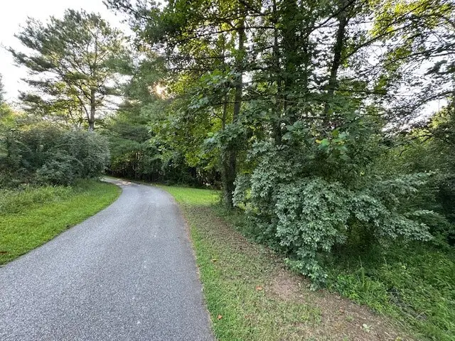 LT 1 Newberry Drive, Mineral Bluff, GA 30559 - Image #2