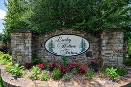 146 Hackney Trail, East Ellijay, GA 30536 - Image #3