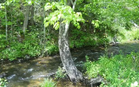 25 Tusquittee Crossing, Hayesville, NC 28904 - Image #2