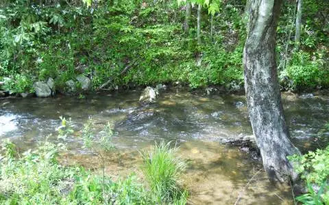 25 Tusquittee Crossing, Hayesville, NC 28904 - Image #3