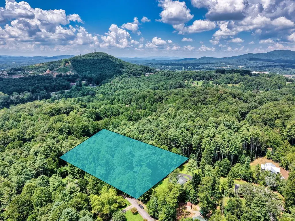 L 10&16 Josie Drive, Blairsville, GA 30512 - Image #1