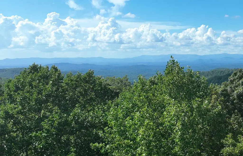 31 Highline Drive, Ellijay, GA 30536 - #1
