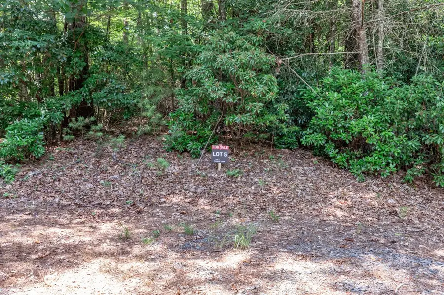 Lot 5 Rocking Chair Ridge, Mineral Bluff, GA 30559 - Image #3