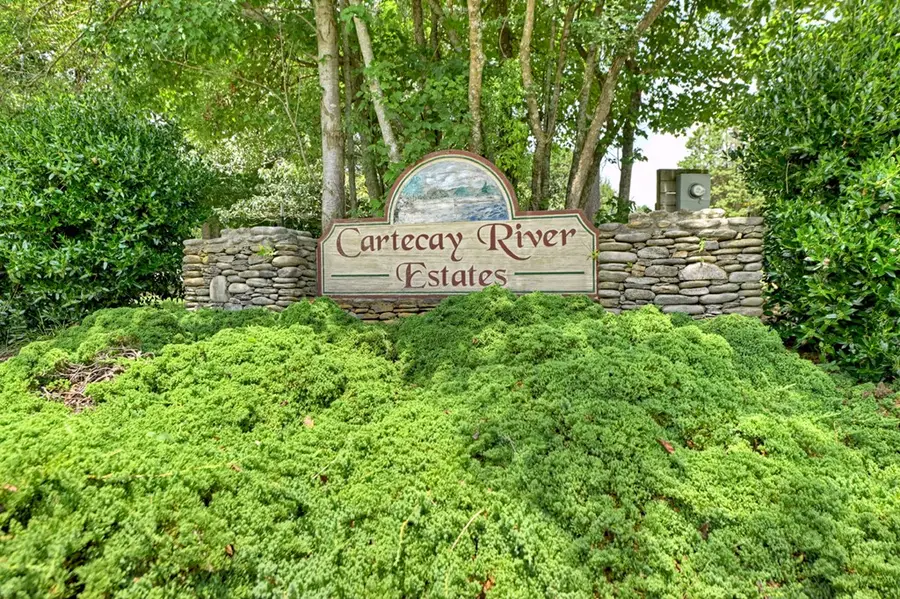 Lot 10 Cartecay River Run, Ellijay, GA 30536 - Image #3