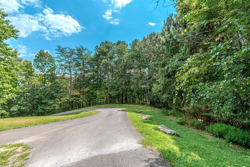 Lot 103R Mountain Creek Hollow Drive, Talking Rock, GA 30175 - Image #1