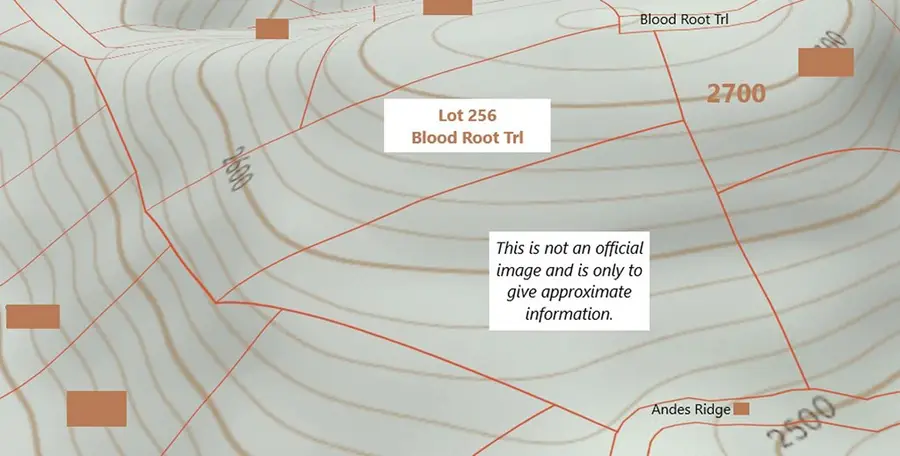 256 Blood Root Trail, Ellijay, GA 30536 - Image #3