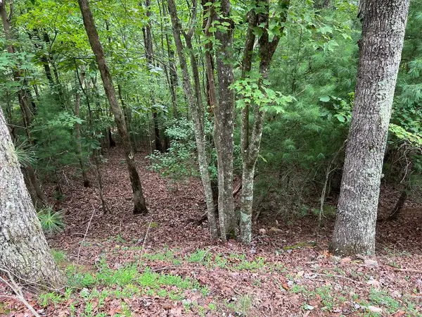 167 Tara Drive, Ellijay, GA 30540