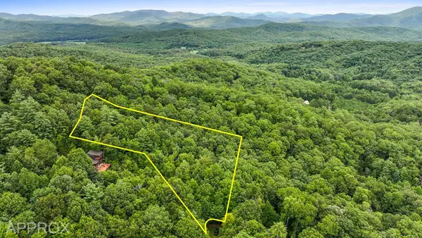 Lot 10 Papa Bear Path, Cherry Log, GA 30522