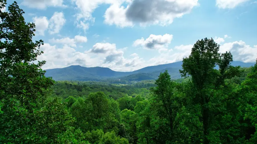 6205 Trevor Way, Young Harris, GA 30582 - Image #3