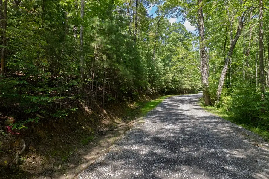 Lot 6 Heatherwood Way, Talking Rock, GA 30175 - Image #2