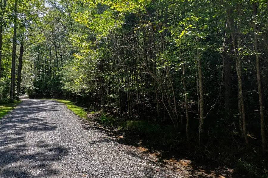 Lot 6 Heatherwood Way, Talking Rock, GA 30175 - Image #3